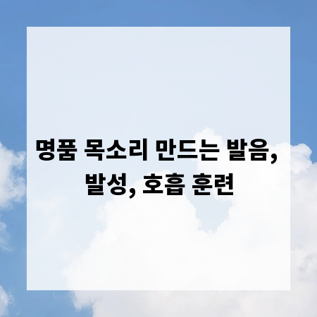 명품 목소리 만드는 발음, 발성, 호흡 훈련
