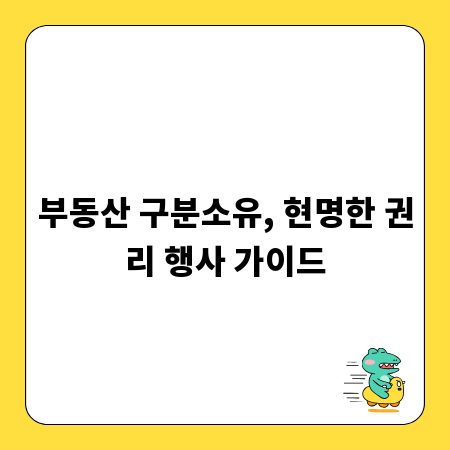 부동산 구분소유, 현명한 권리 행사 가이드