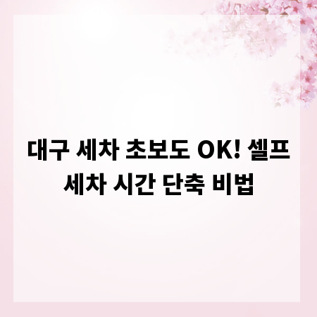 대구 세차 초보도 OK! 셀프세차 시간 단축 비법