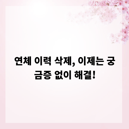 연체 이력 삭제, 이제는 궁금증 없이 해결!