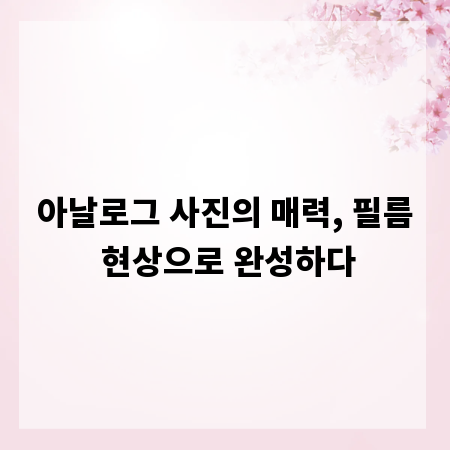 아날로그 사진의 매력, 필름 현상으로 완성하다