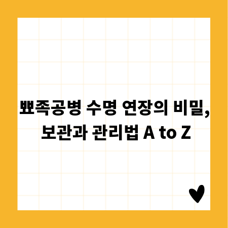 뾰족공병 수명 연장의 비밀, 보관과 관리법 A to Z