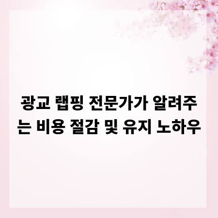 광교 랩핑 전문가가 알려주는 비용 절감 및 유지 노하우