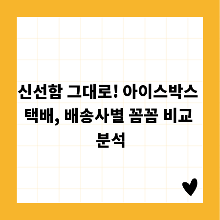 신선함 그대로! 아이스박스 택배, 배송사별 꼼꼼 비교 분석