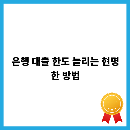 은행 대출 한도 늘리는 현명한 방법