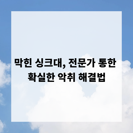 막힌 싱크대, 전문가 통한 확실한 악취 해결법