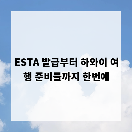ESTA 발급부터 하와이 여행 준비물까지 한번에
