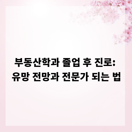 부동산학과 졸업 후 진로: 유망 전망과 전문가 되는 법
