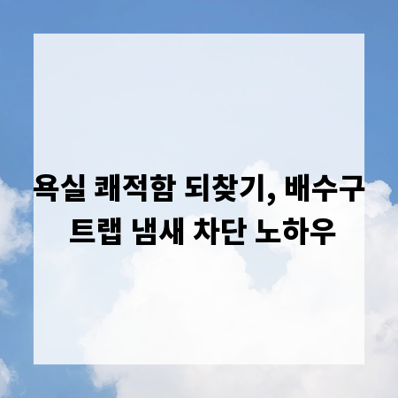 욕실 쾌적함 되찾기, 배수구 트랩 냄새 차단 노하우