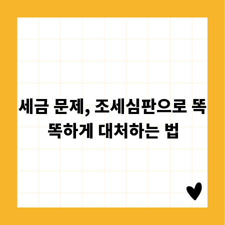 세금 문제, 조세심판으로 똑똑하게 대처하는 법
