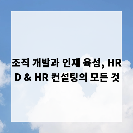 조직 개발과 인재 육성, HRD & HR 컨설팅의 모든 것