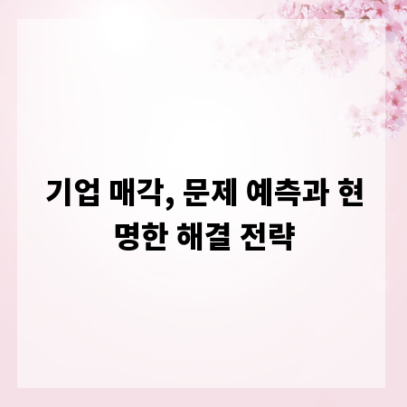 기업 매각, 문제 예측과 현명한 해결 전략