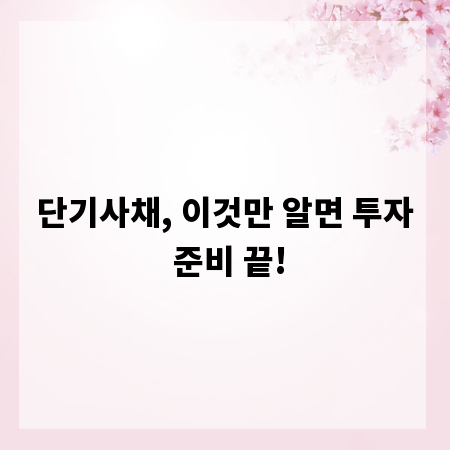 단기사채, 이것만 알면 투자 준비 끝!