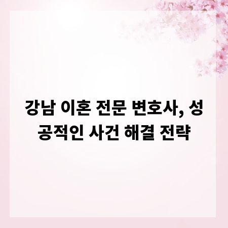 강남 이혼 전문 변호사, 성공적인 사건 해결 전략