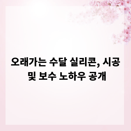 오래가는 수달 실리콘, 시공 및 보수 노하우 공개