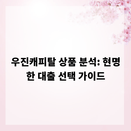 우진캐피탈 상품 분석: 현명한 대출 선택 가이드