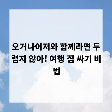 오거나이저와 함께라면 두렵지 않아! 여행 짐 싸기 비법