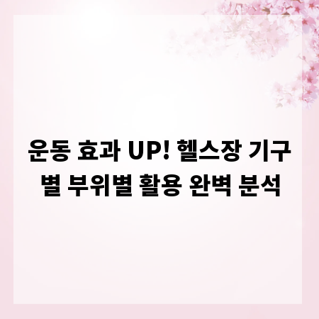 운동 효과 UP! 헬스장 기구별 부위별 활용 완벽 분석