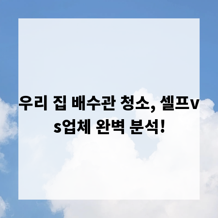 우리 집 배수관 청소, 셀프vs업체 완벽 분석!