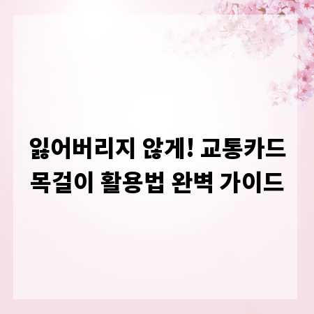 잃어버리지 않게! 교통카드목걸이 활용법 완벽 가이드