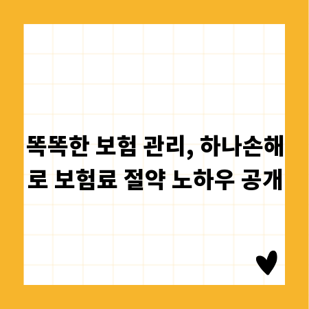 똑똑한 보험 관리, 하나손해로 보험료 절약 노하우 공개