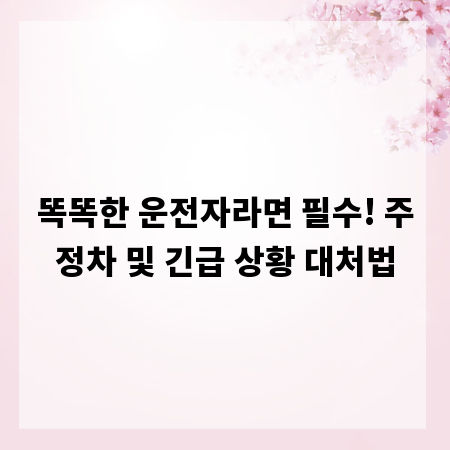 똑똑한 운전자라면 필수! 주정차 및 긴급 상황 대처법