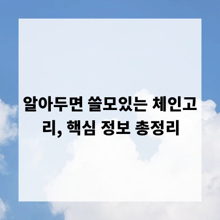 알아두면 쓸모있는 체인고리, 핵심 정보 총정리
