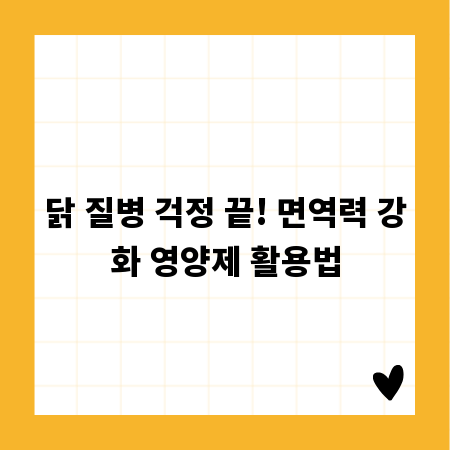 닭 질병 걱정 끝! 면역력 강화 영양제 활용법