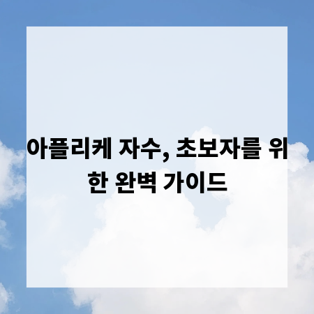 아플리케 자수, 초보자를 위한 완벽 가이드
