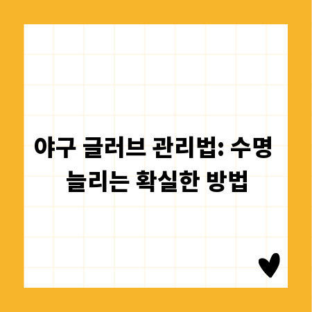 야구 글러브 관리법: 수명 늘리는 확실한 방법