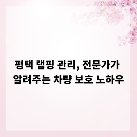 평택 랩핑 관리, 전문가가 알려주는 차량 보호 노하우